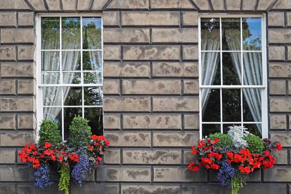 sash and case windows edinburgh